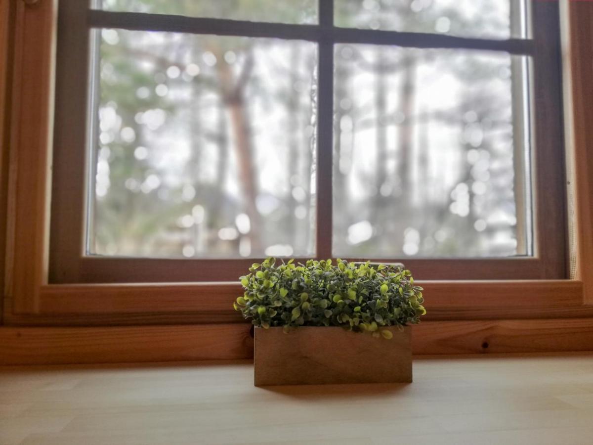 Hakuba Powder Cottage Deep المظهر الخارجي الصورة
